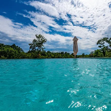 Dika, A Beautiful And Spacious With A Fantastic Pool Gradisce (Istria)